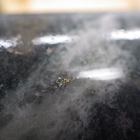 Figure 2: Visible gold intersected in hole TCG20-064 at 536.5m (targeting the Campbell Shear stratigraphy).